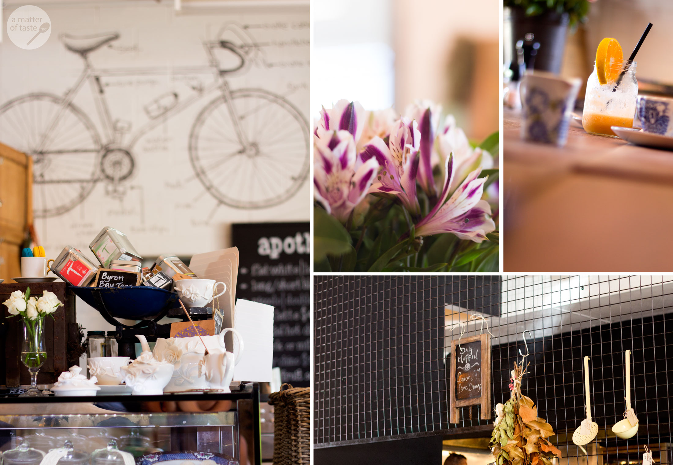 the velo project sunshine coast