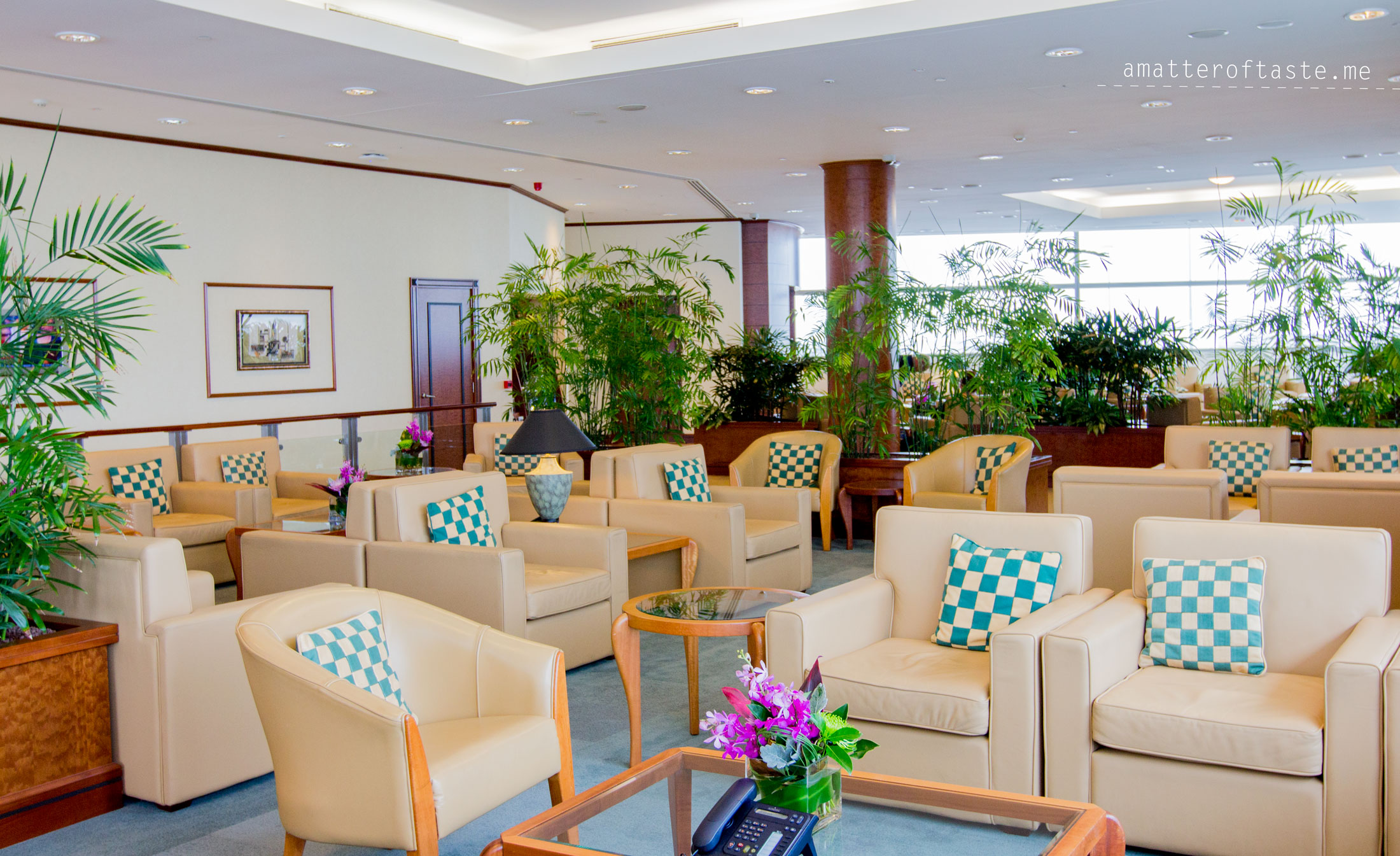 emirates A380 and brisbane lounge experience