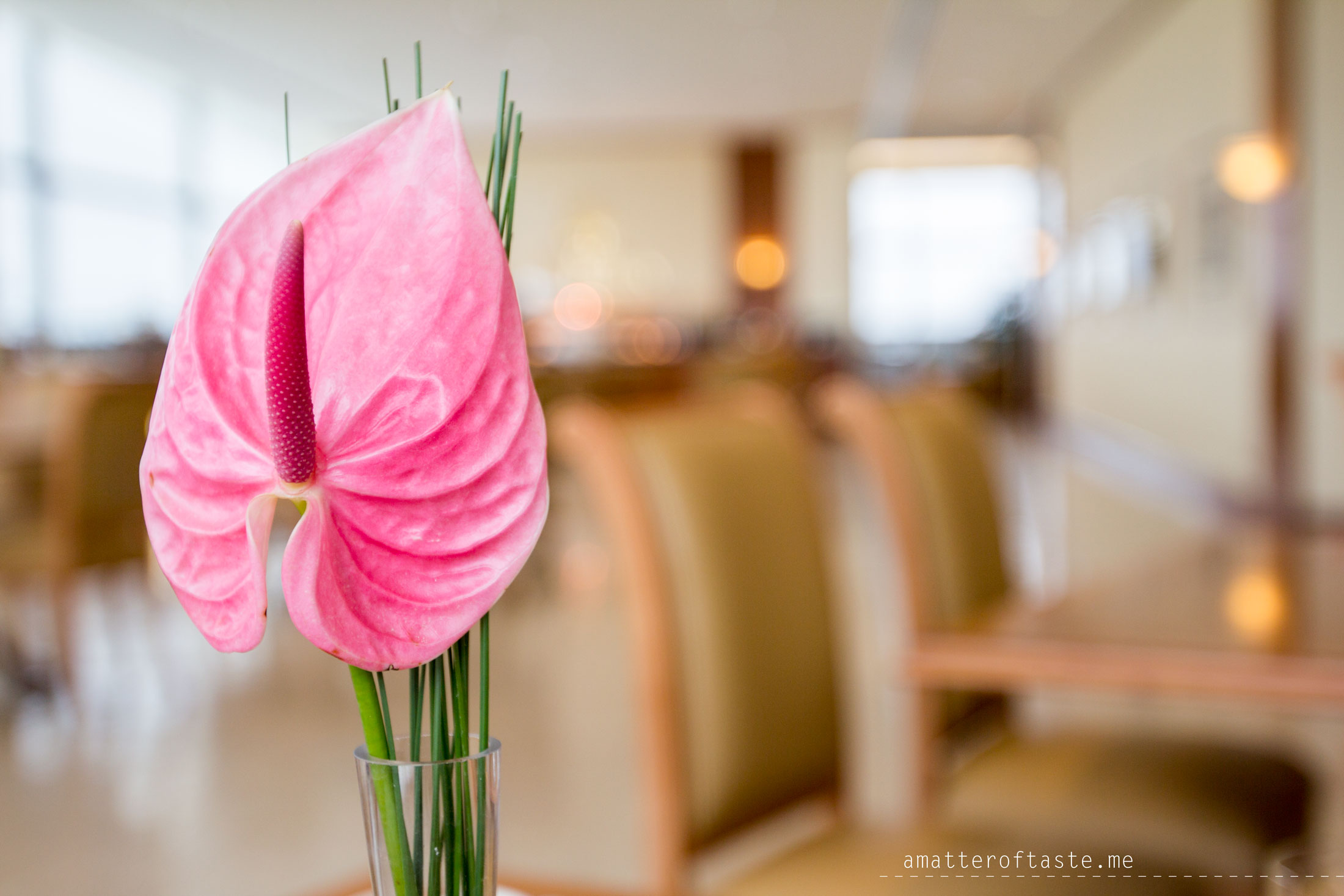 emirates A380 and brisbane lounge experience