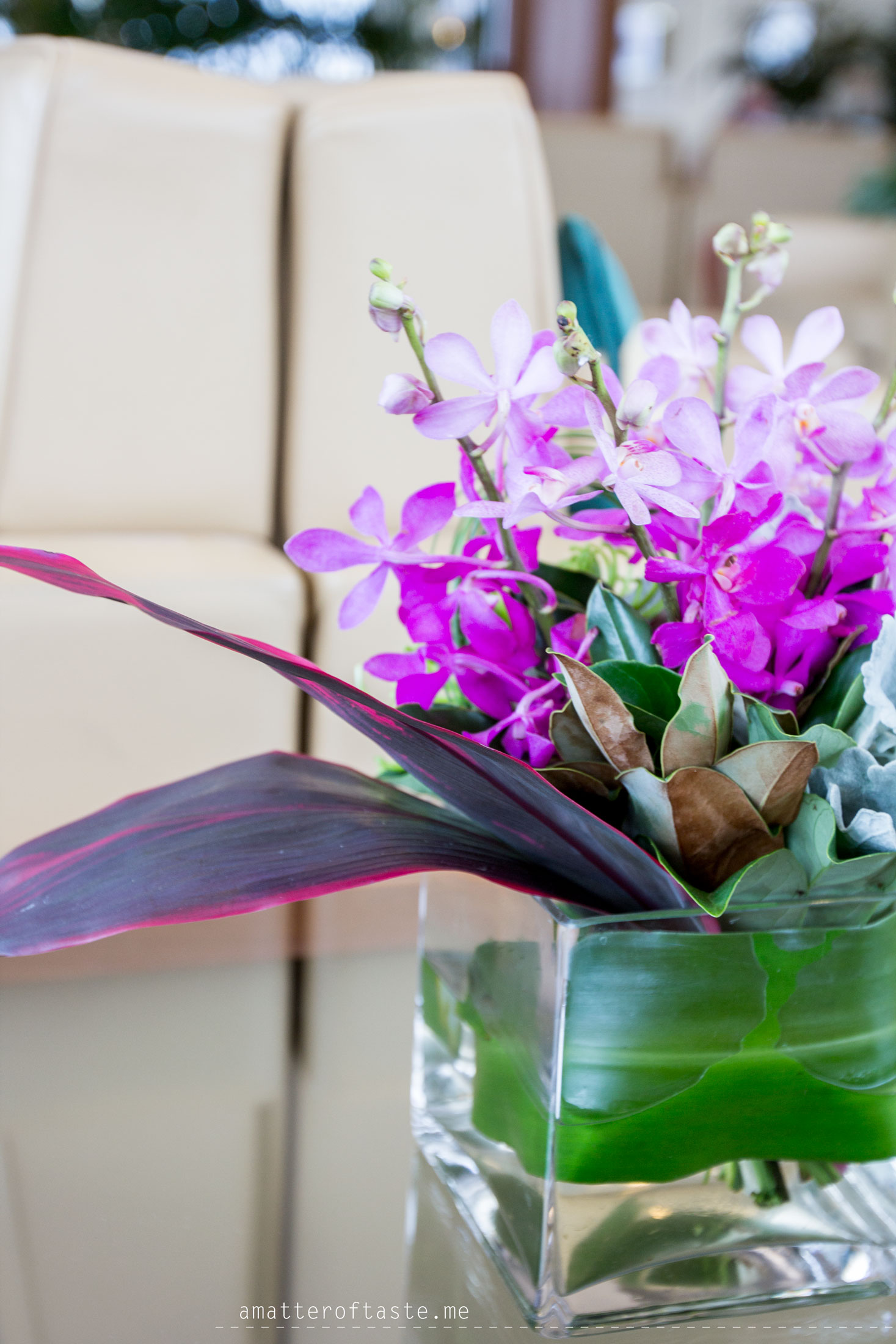 emirates A380 and brisbane lounge experience