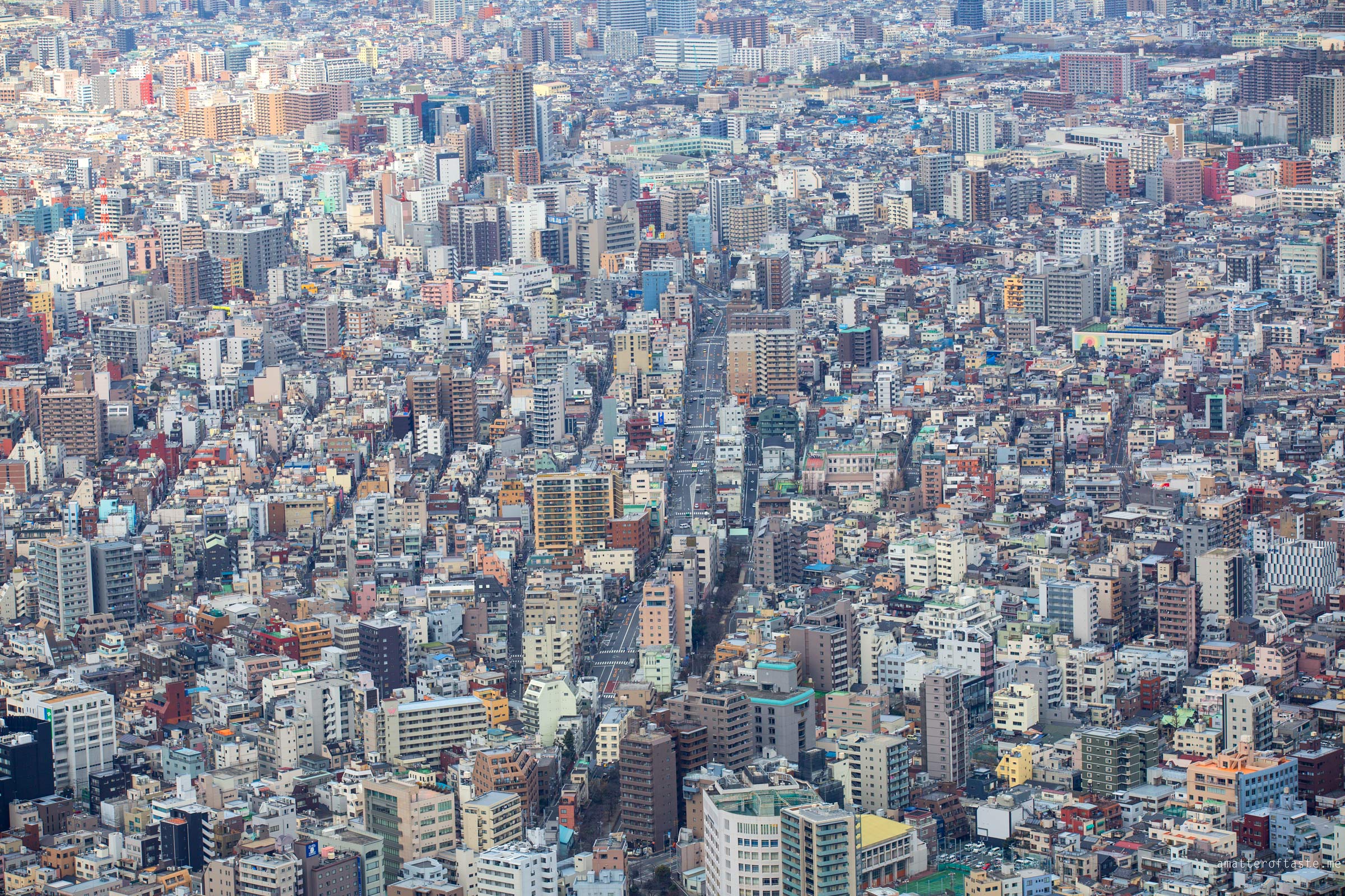 Tokyo Sky Tree view