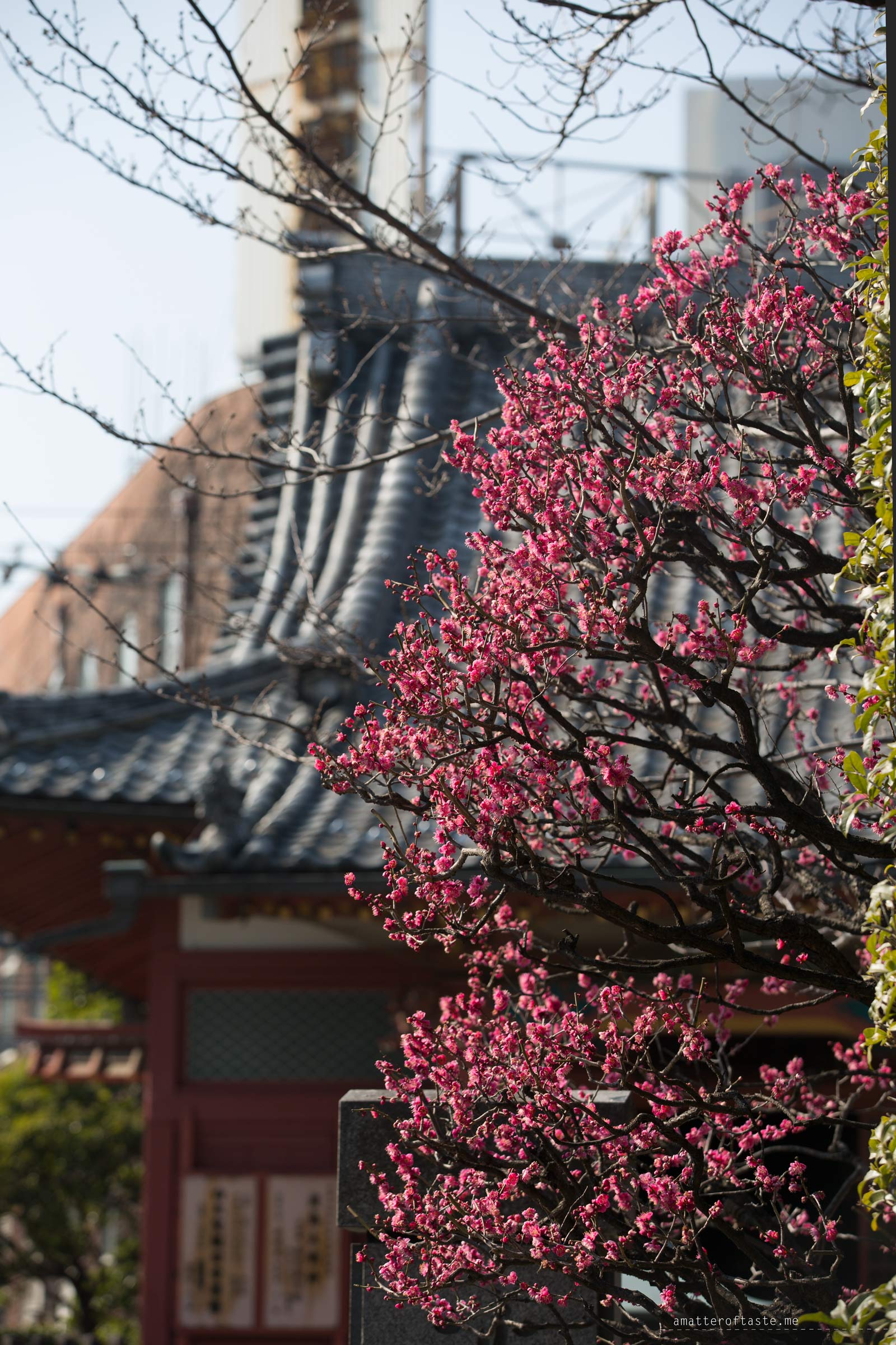 Senso-ji Tokyo