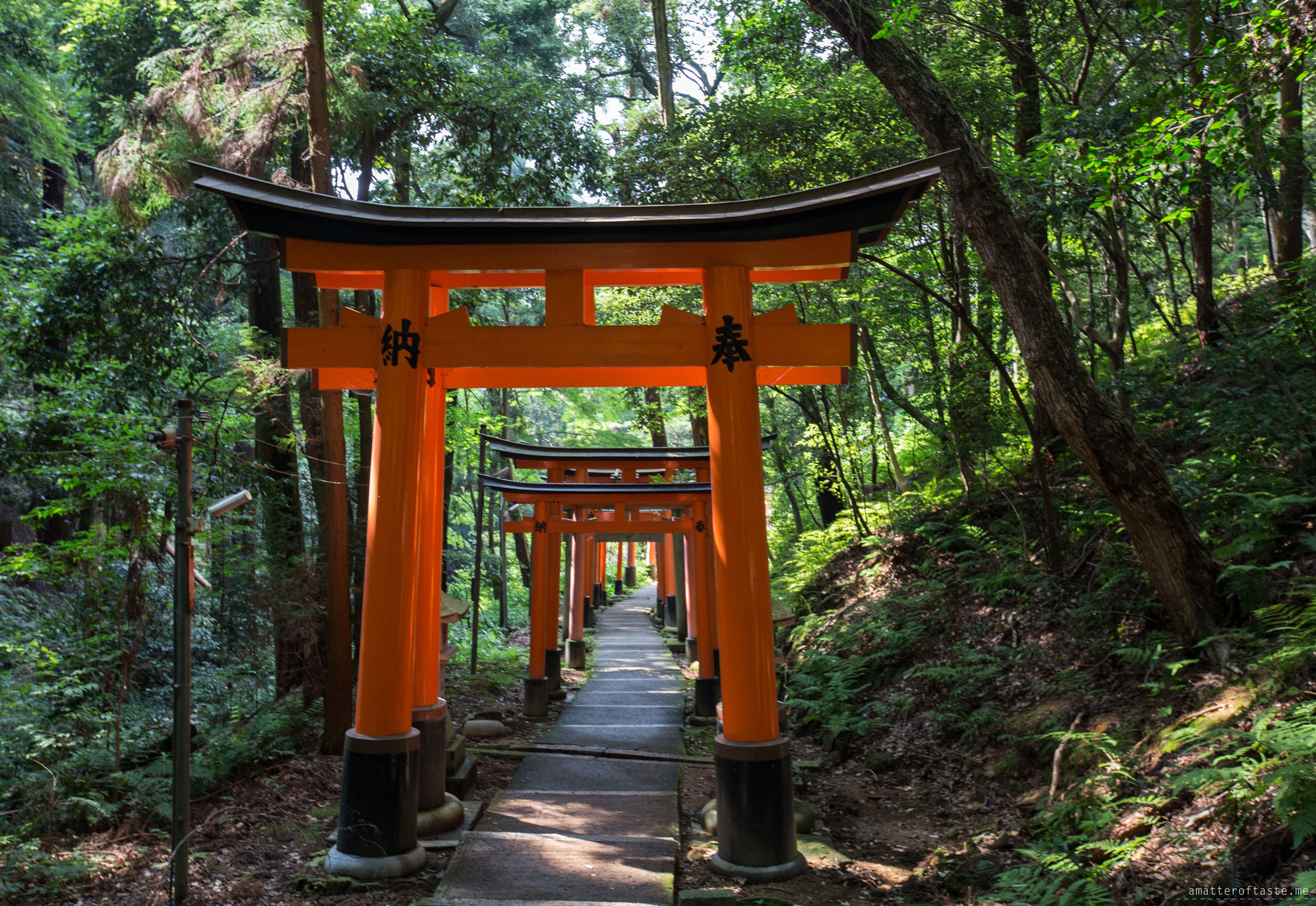 Fushimi Inari Torii Gates by a matter of taste